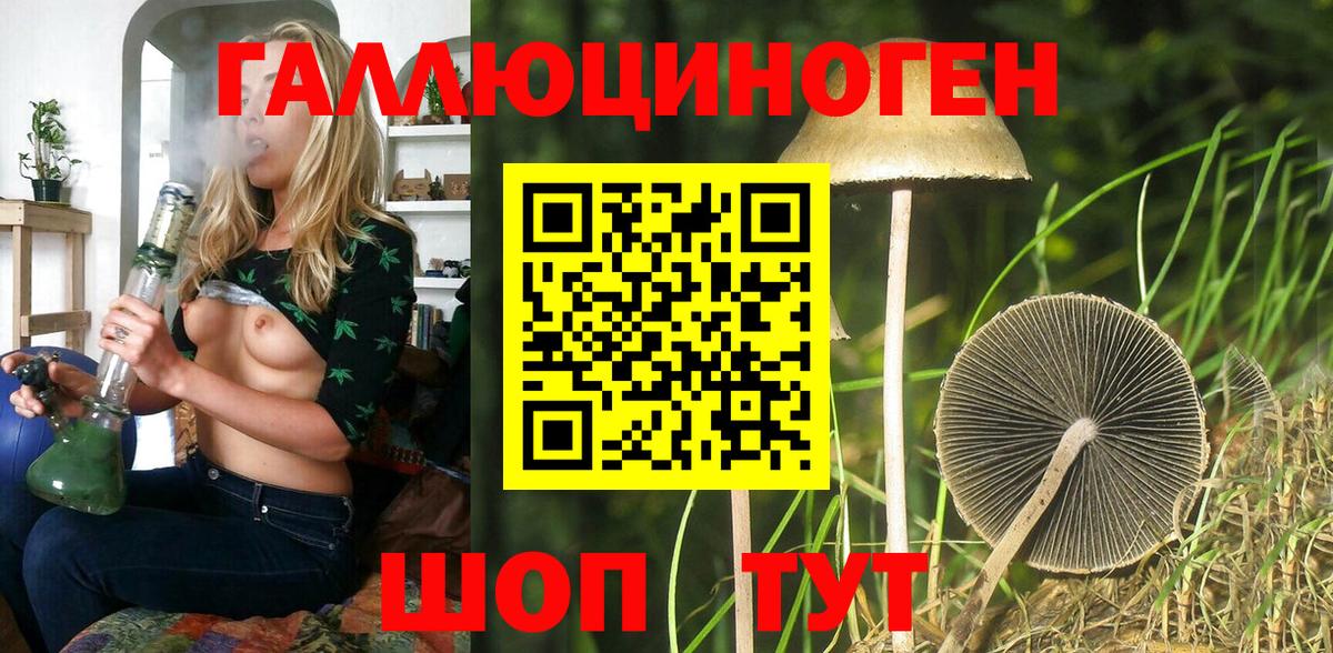 Псилоцибиновые грибы Cubensis Михайловка