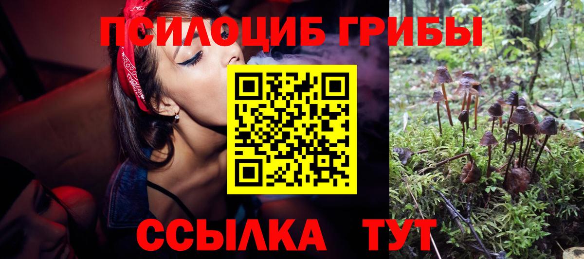 Галлюциногенные грибы мухоморы  даркнет сайт  Михайловка  Вход с VPN  Псилоцибиновые грибы GOLDEN TEACHER 