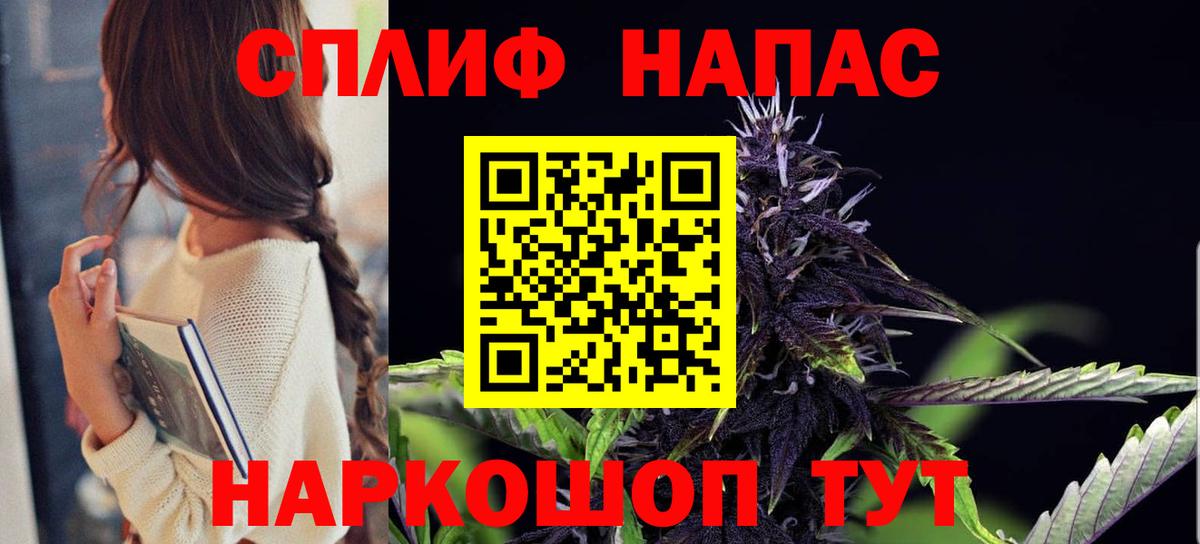 Каннабис сатива Михайловка